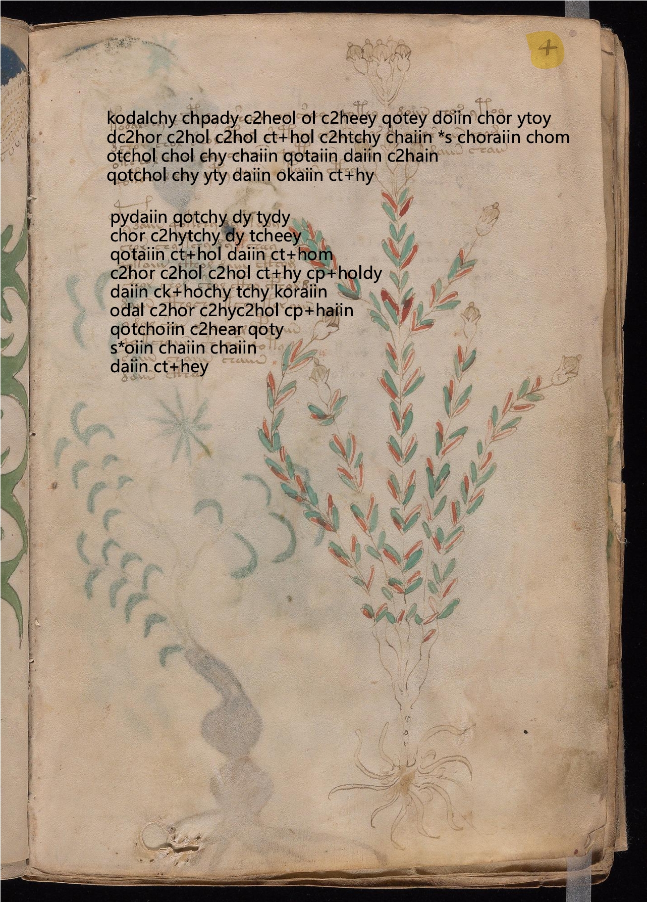 Folio 4r glyph overlay on parchment